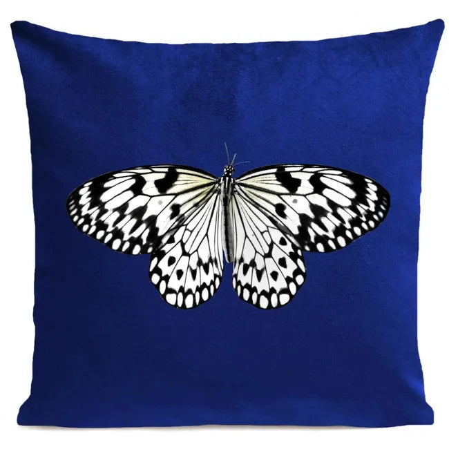 DECORATION Coussin Papillon Blanc fond Bleu Klein 40x40