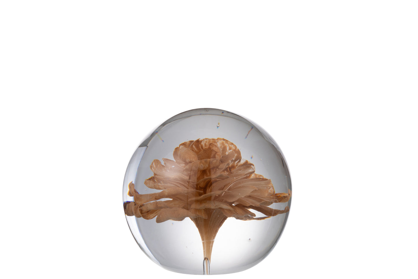 Presse-papier fleur Beige