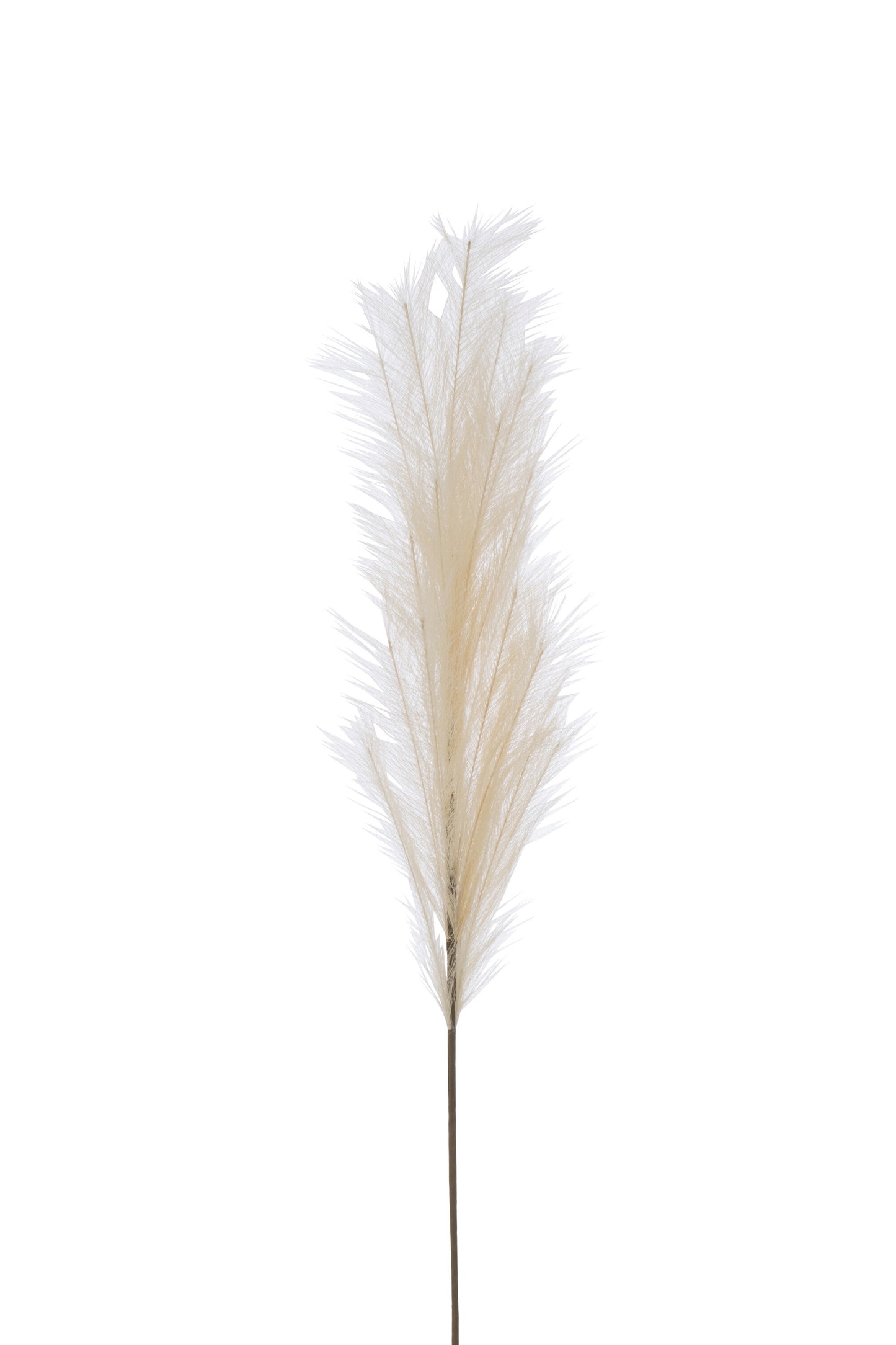 Branche plumeau Beige artificiel M