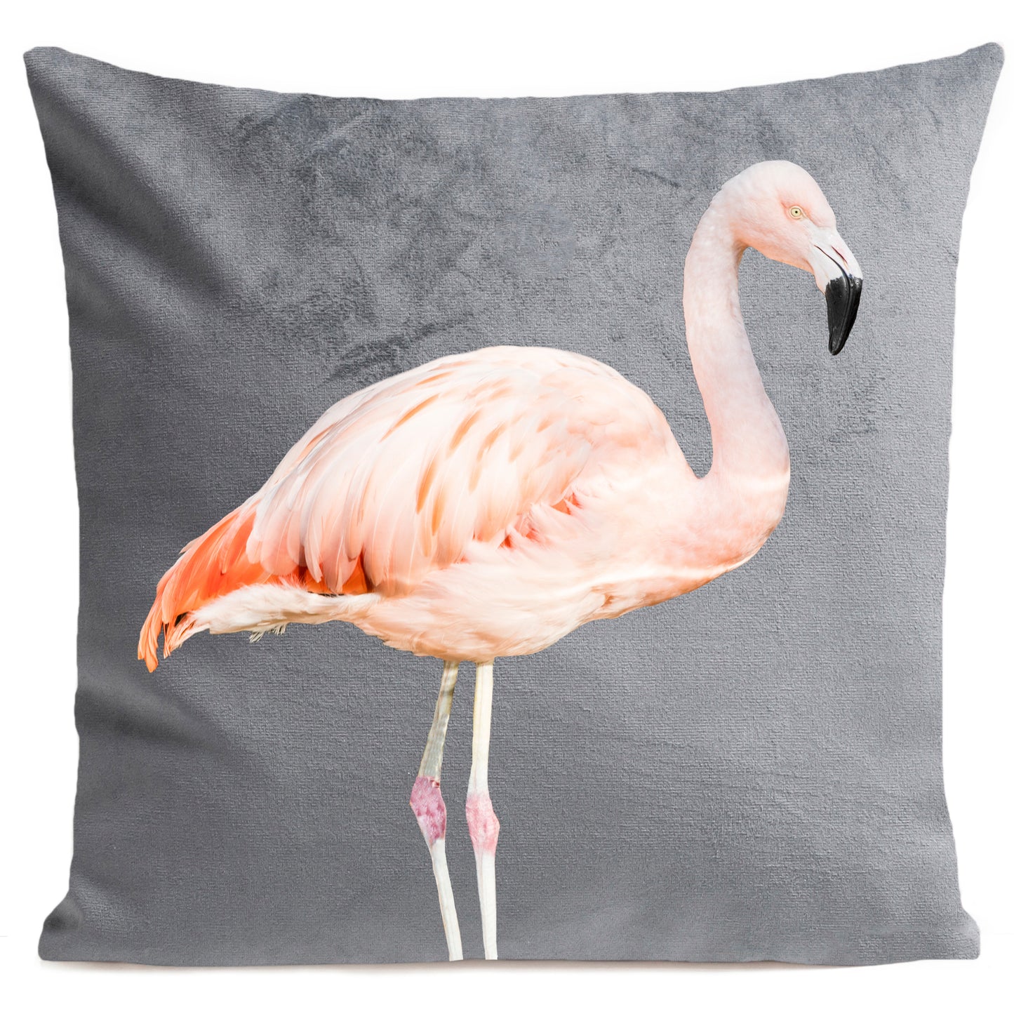 DECORATION Coussin Pink flamingo Gris clair 40x40