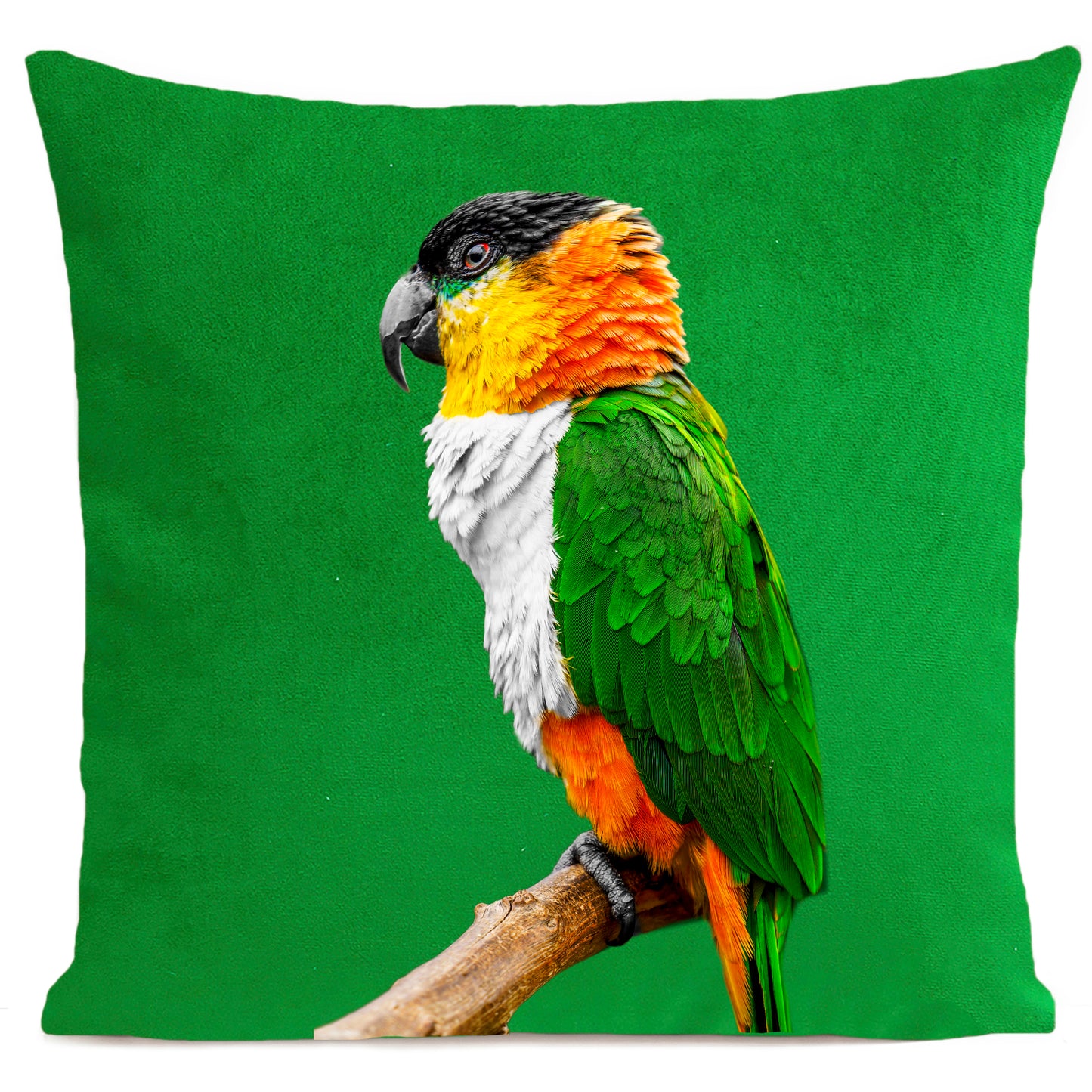 DECORATION Coussin Coco Vert vif 40x40
