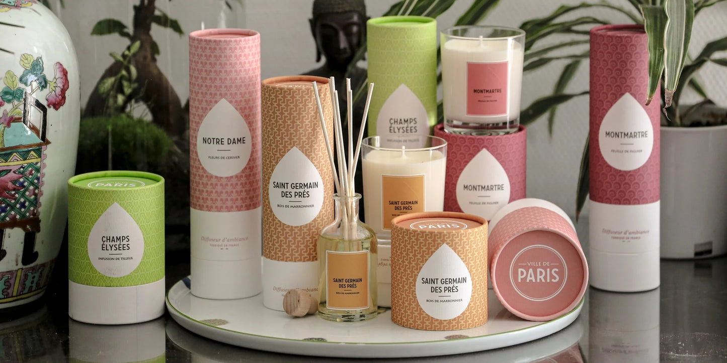 BOUGIES ET PARFUMS Diffuseur d'ambiance Montmartre Feuille de figuier