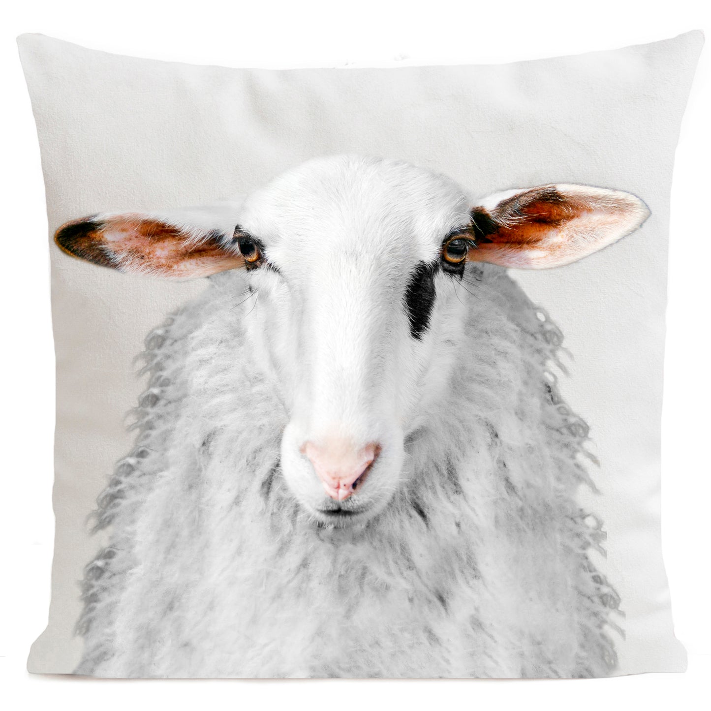 DECORATION Coussin Mr Félix 60x60