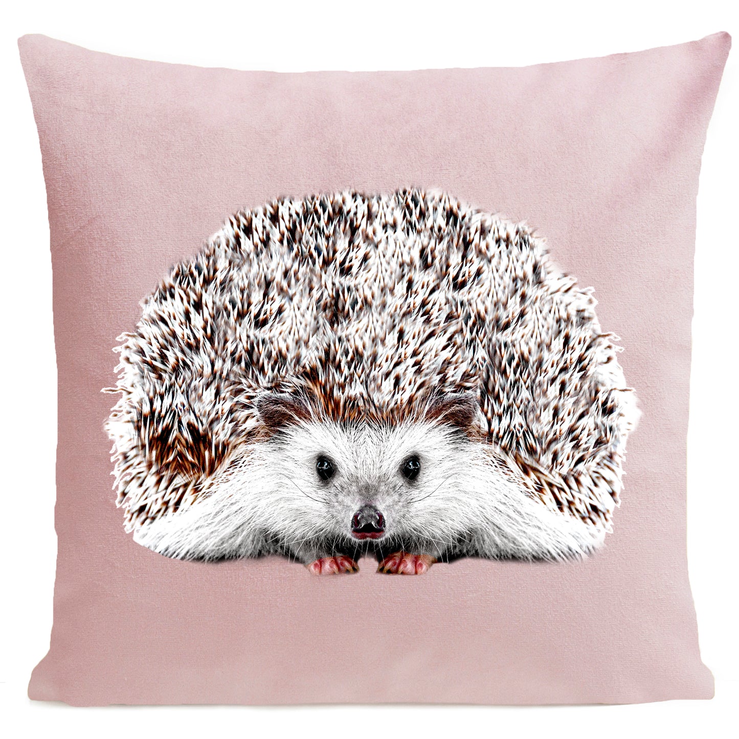 DECORATION Coussin Picou Rose pastel 40x40