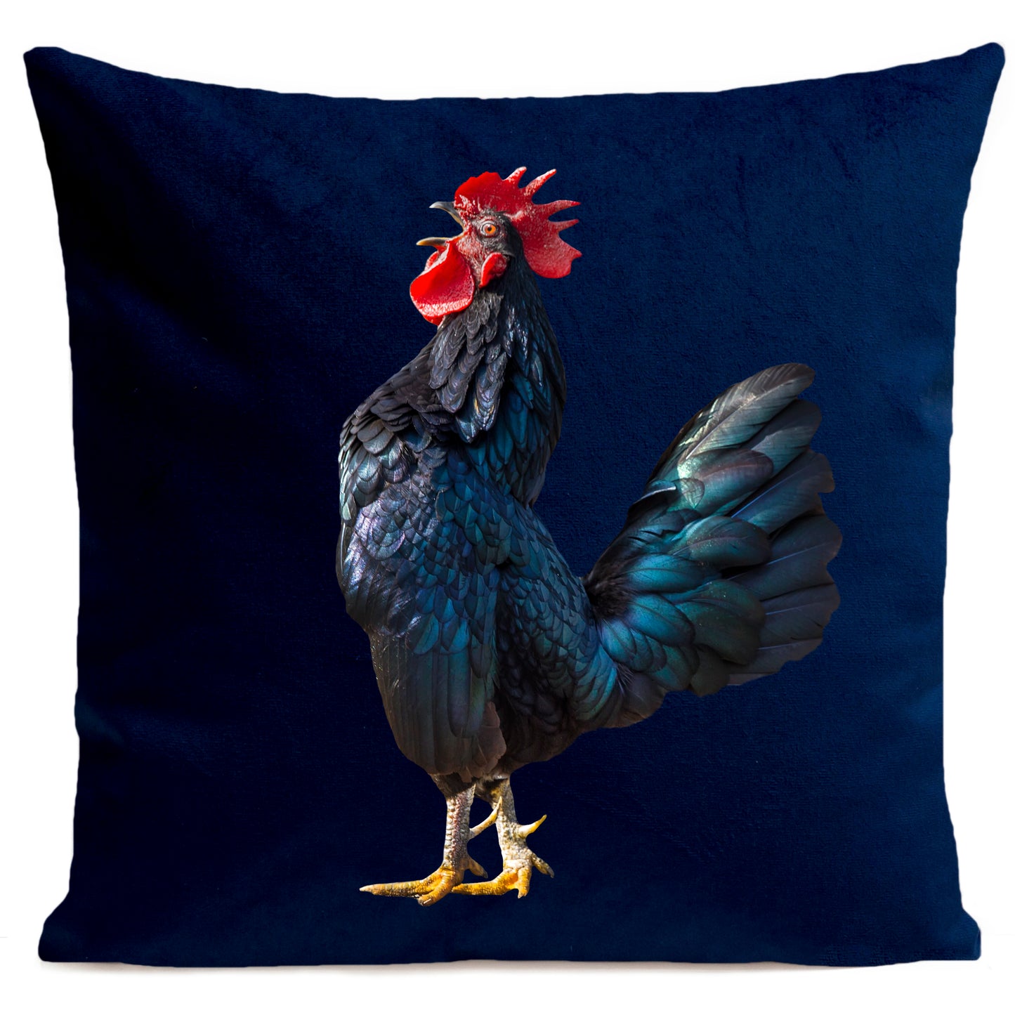 DECORATION Coussin The Singer Bleu foncé 40x40