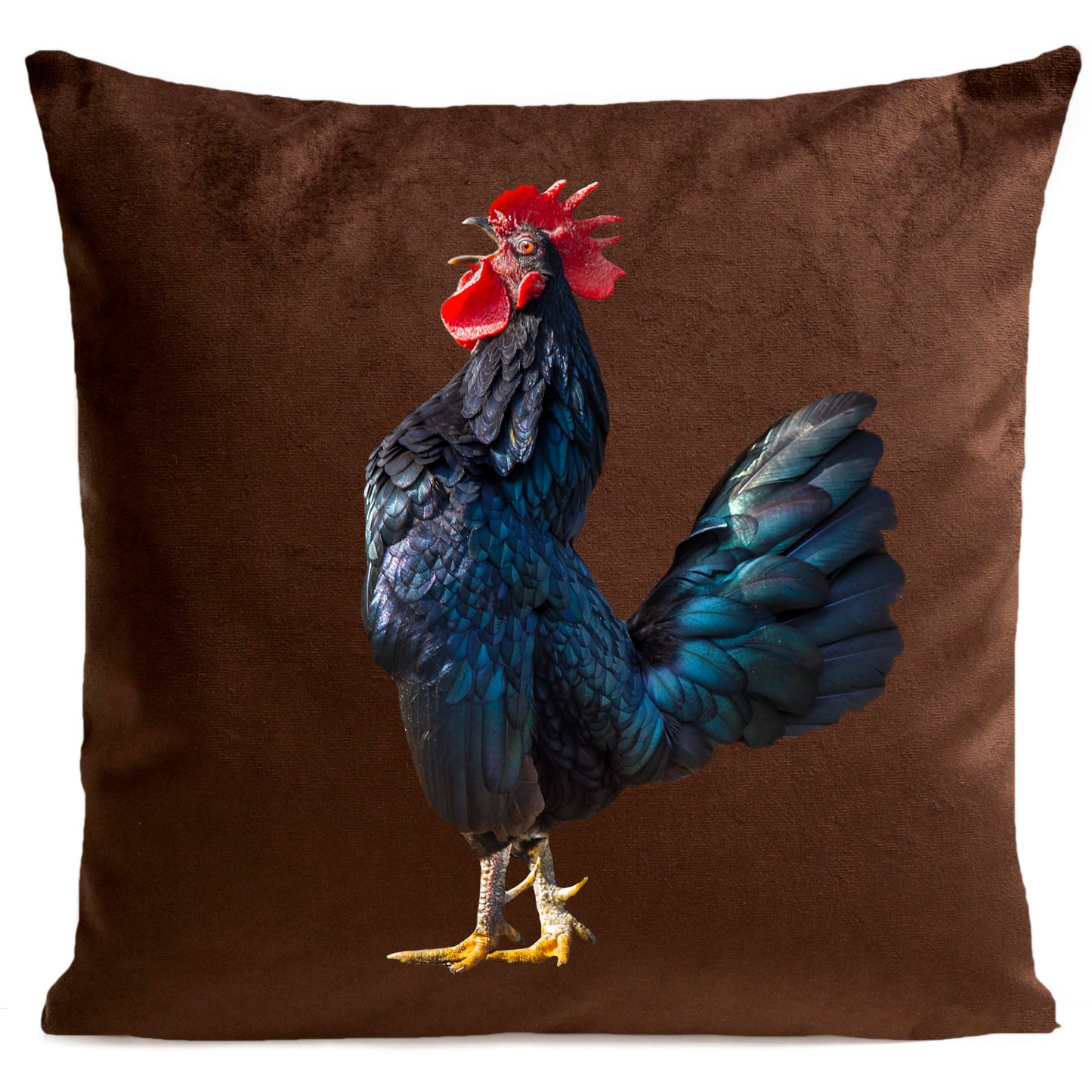 DECORATION Coussin The Singer Marron 40x40