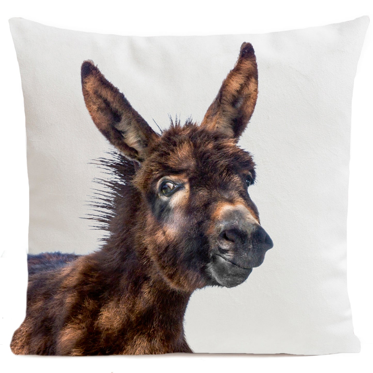 DECORATION Coussin Baby donkey 60x60