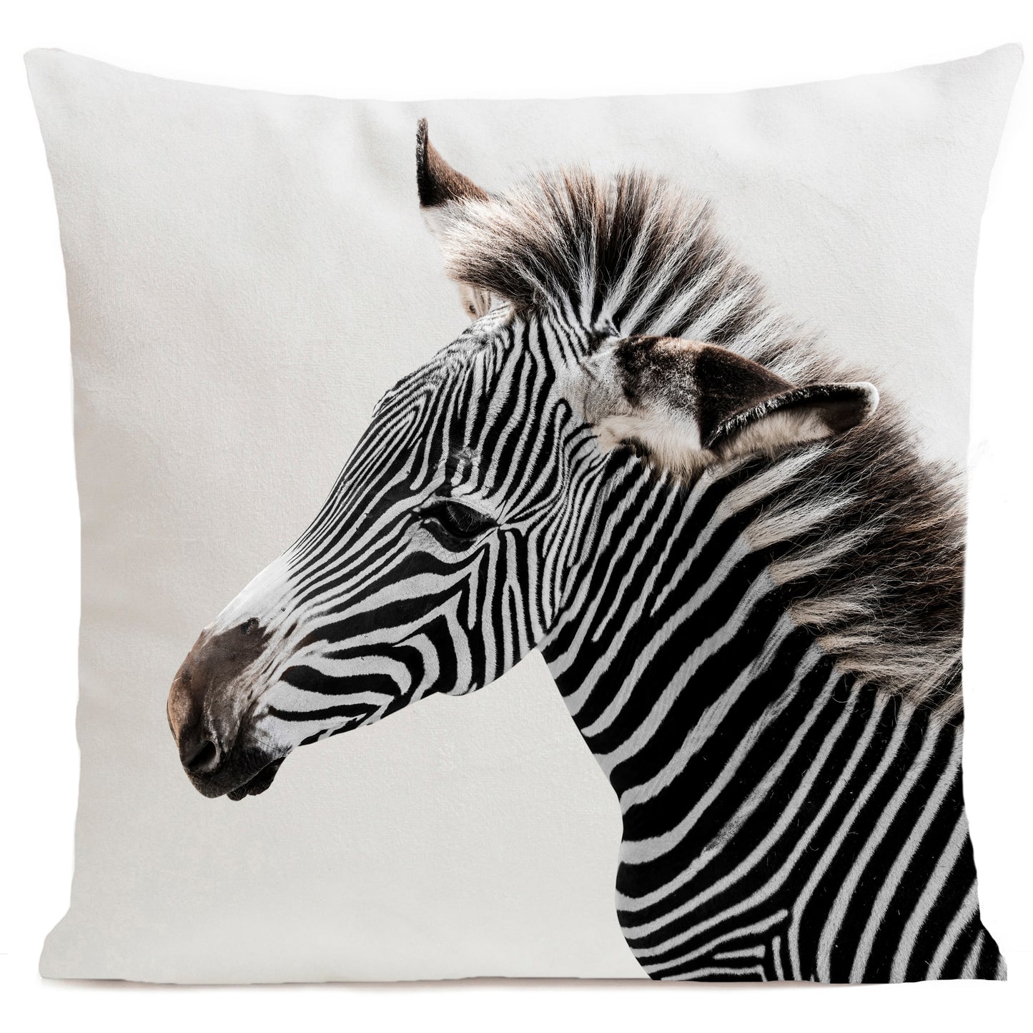 DECORATION Coussin Zebra 60x60