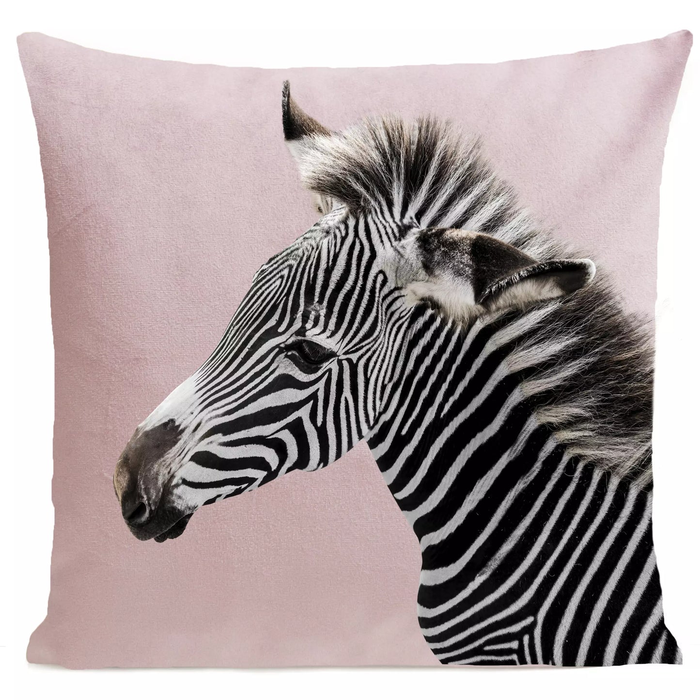 DECORATION Coussin Zèbre Rose pastel 40x40