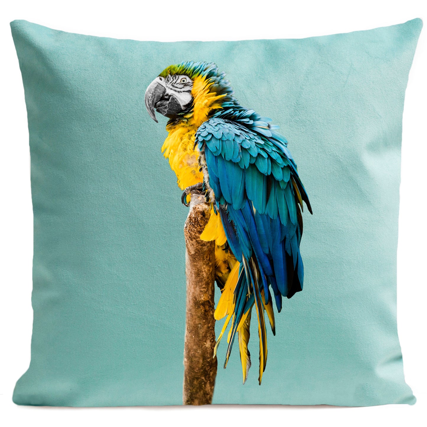 DECORATION Coussin Blue Parrot Vert d'eau 40x40