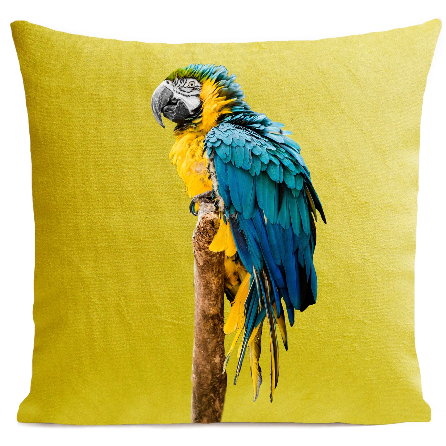 DECORATION Coussin Blue Parrot Jaune 40x40
