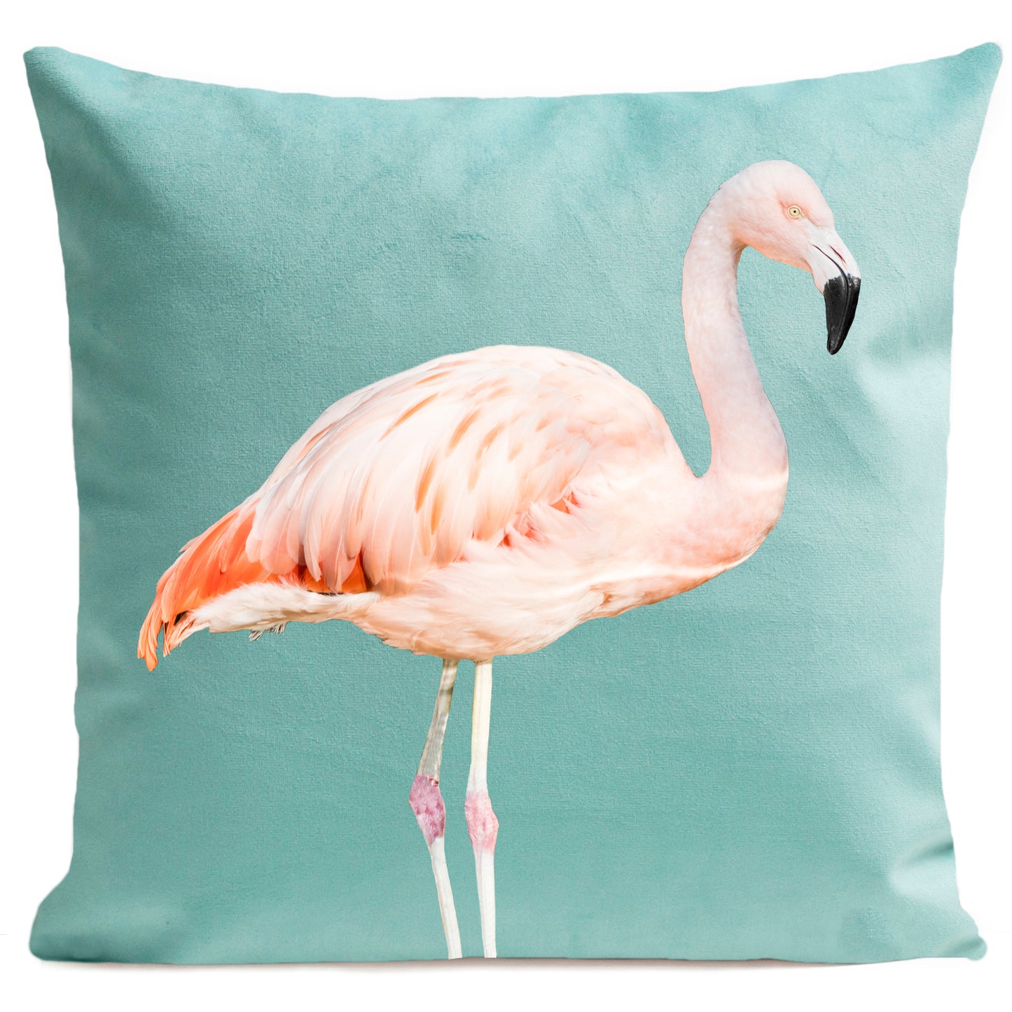 DECORATION Coussin Pink flamingo Vert d'eau 40x40