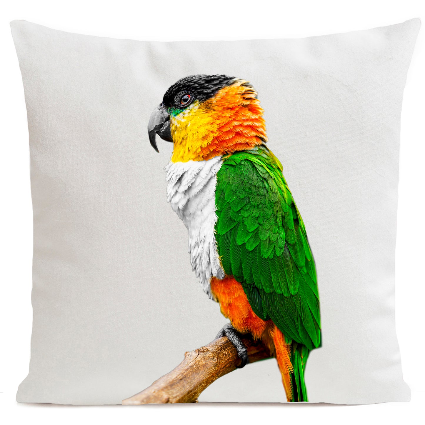 DECORATION Coussin Perroquet COCO Blanc 60x60