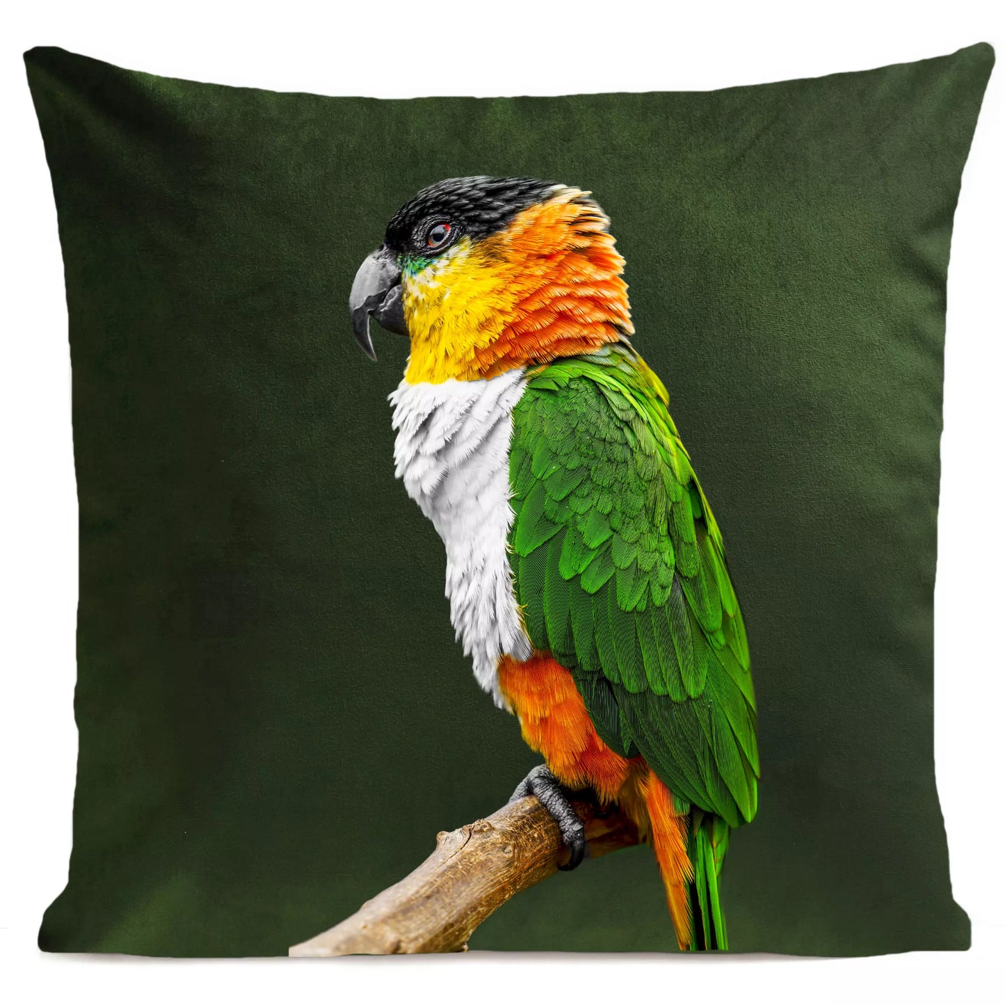 DECORATION Coussin Coco Vert bouteille 40x40
