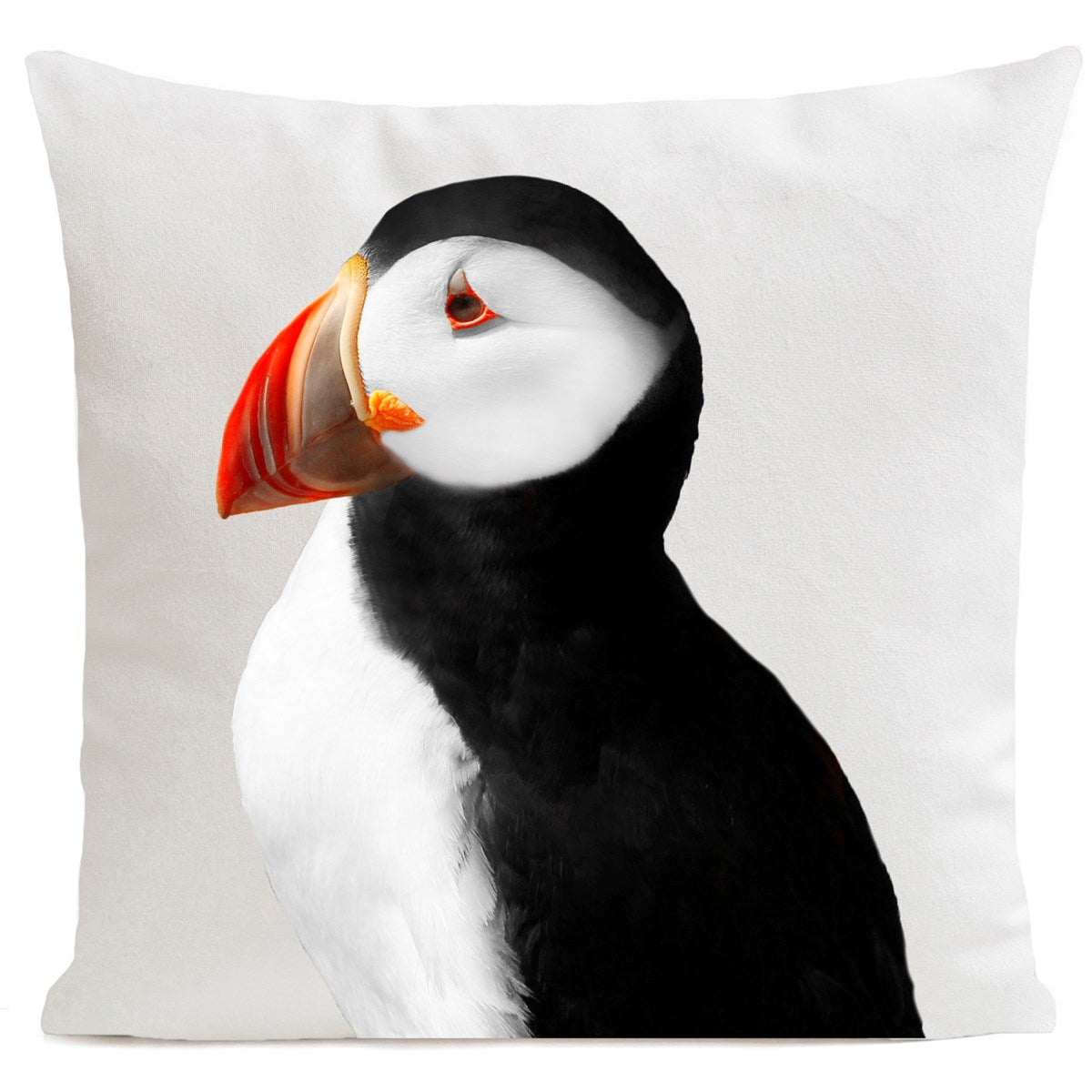 DECORATION Coussin Puffy 60x60