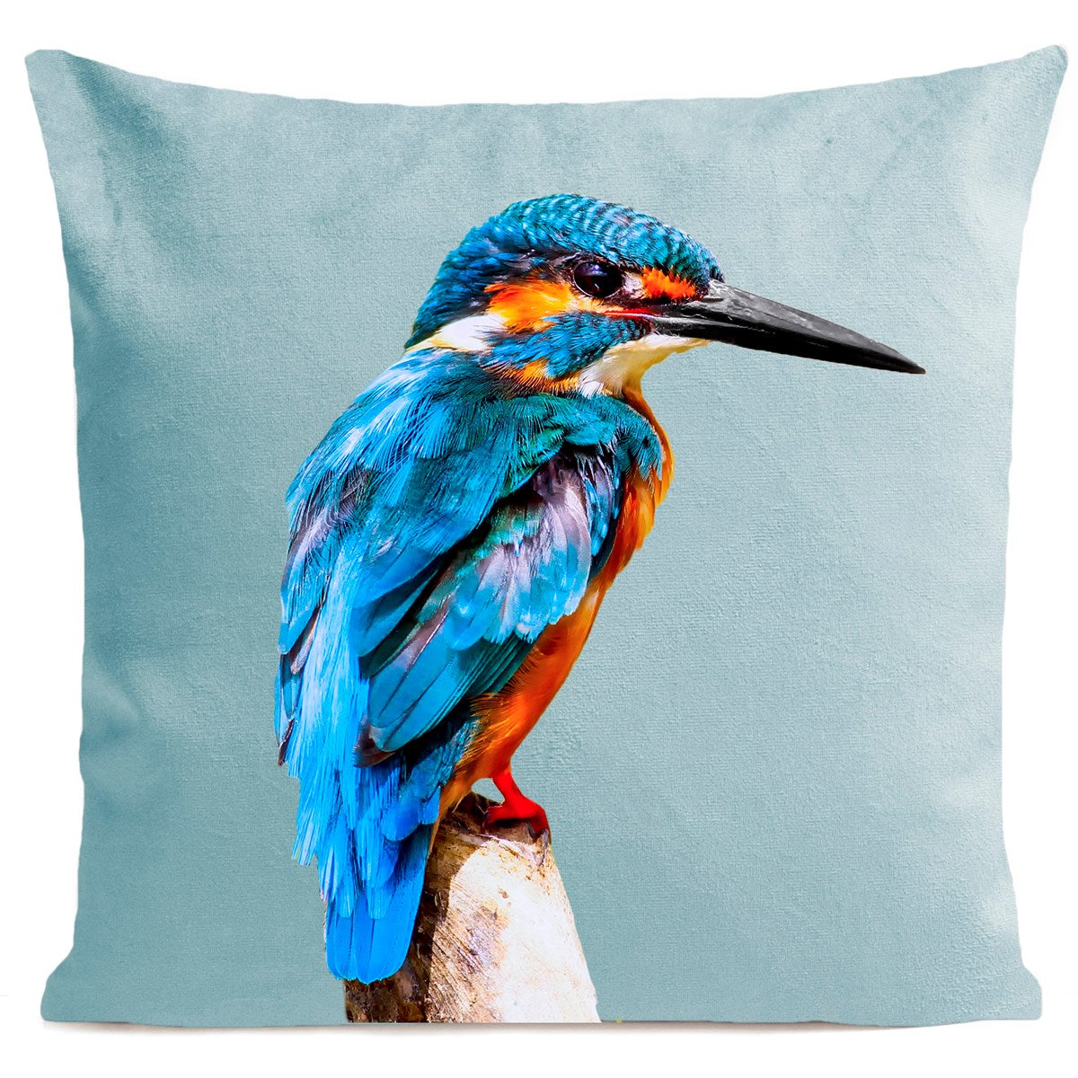 DECORATION Coussin Little Blue Bird Bleu Miami 40x40