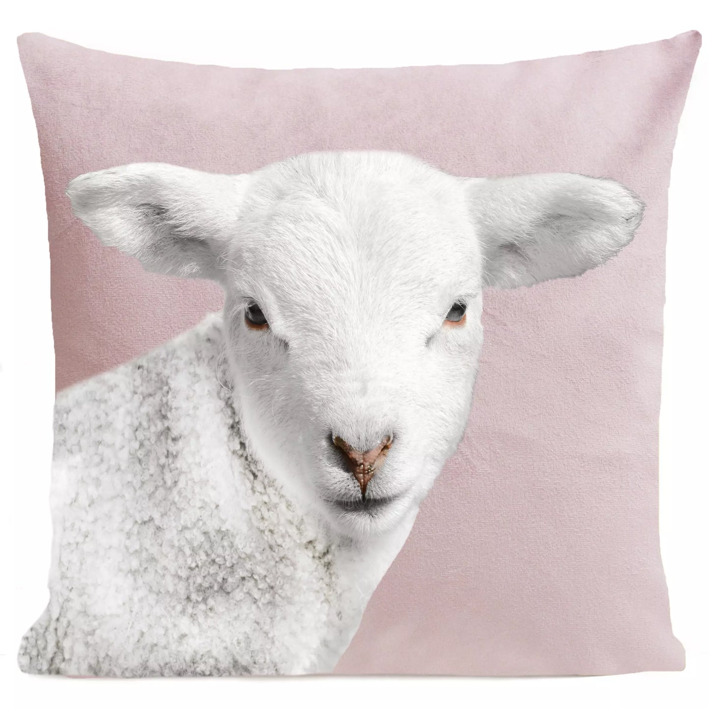 DECORATION Coussin Wooly Rose pastel 40x40