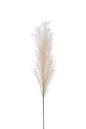 Branche plumeau Beige artificiel M
