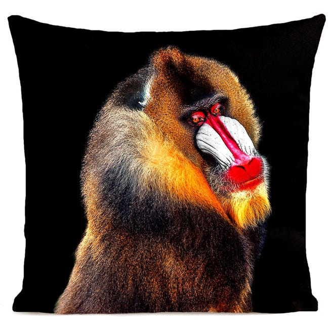 DECORATION Coussin Bobo Noir 40x40