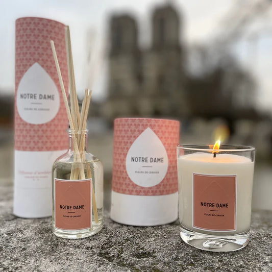 BOUGIES ET PARFUMS Diffuseur d'ambiance Notre Dame Fleurs de cerisier
