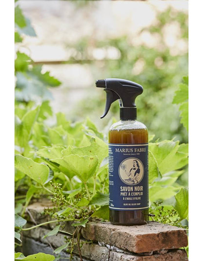 EN CUISINE Spray liquide noir à l'huile d'olive