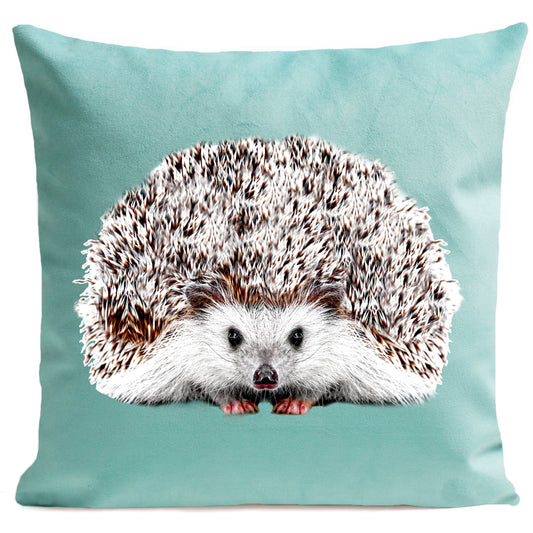 DECORATION Coussin Picou Vert d'eau 40x40