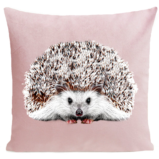 DECORATION Coussin Picou Rose pastel 40x40