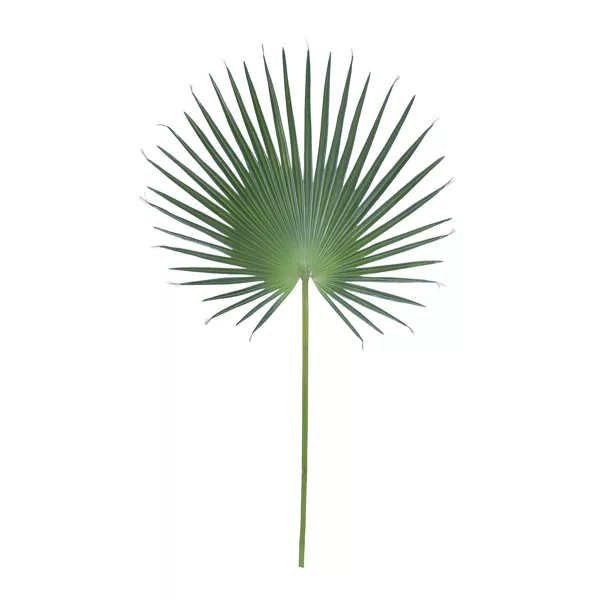 DECORATION Feuille artificielle Vert