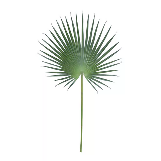 DECORATION Feuille artificielle Vert