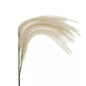 DECORATION Plume artificielle PLUMO Beige