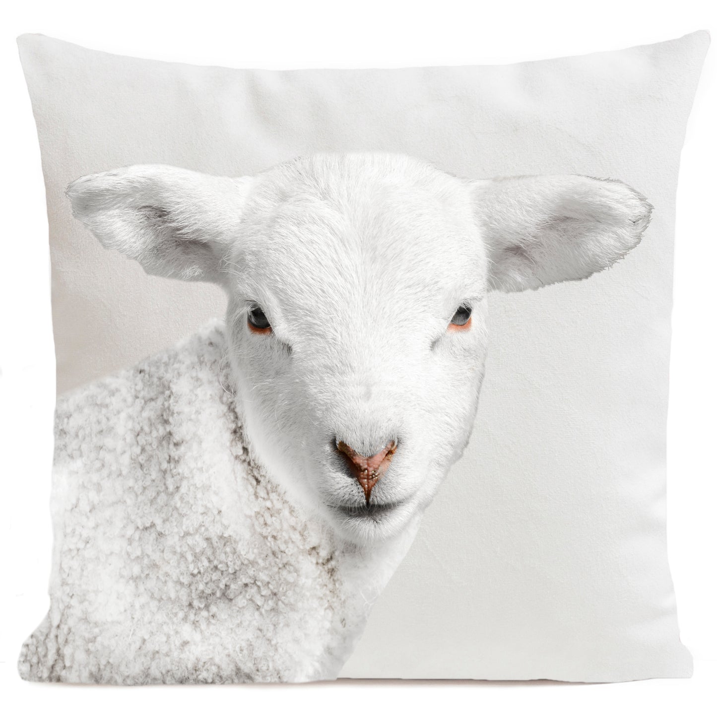 DECORATION Coussin Wooly 60x60