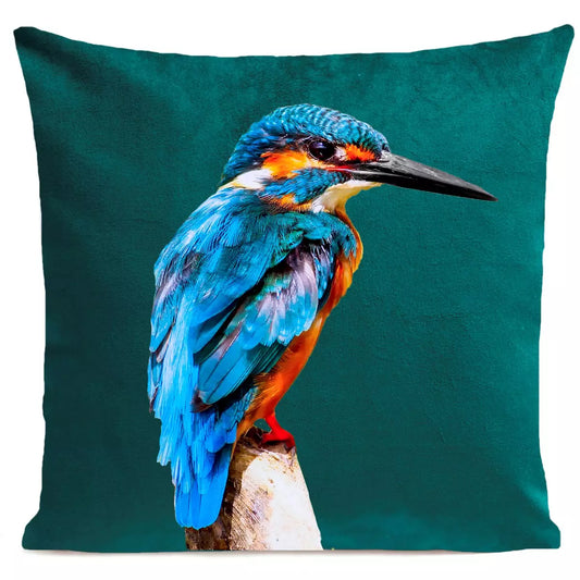DECORATION Coussin Little Blue Bird Vert paon 40x40