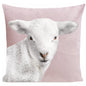 DECORATION Coussin Wooly Rose pastel 40x40