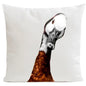 Décoration Coussin Little goose 60x60